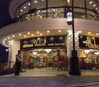 Address Dubai Vialand