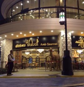 Address Dubai Vialand