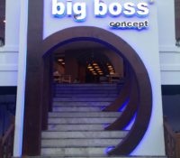 Big Boss Concept