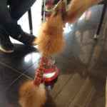 Estanbul Nargile Cafe
