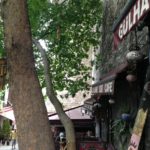Gülhane Sur Cafe