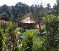 Bamboo Cafe & Restaurant