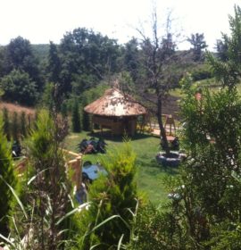 Bamboo Cafe & Restaurant