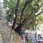 Boğaziçi Kahvesi Bahçe – Beşiktaş