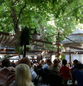 Çınarlı Cafe – Sarıyer