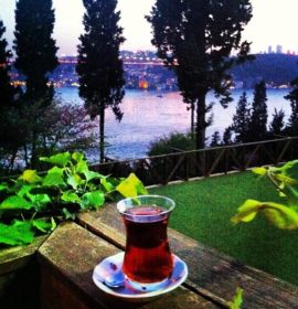 Mihrabat Korusu – Beykoz