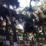 Rüstem Paşa Çay Bahçesi – Tekirdağ