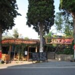 Surf Bar Restaurant