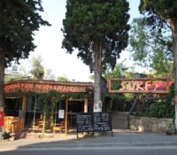 Surf Bar Restaurant
