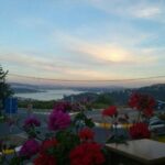 Tepe Cafe & Restaurant