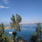 Çardak Cafe & Nargile