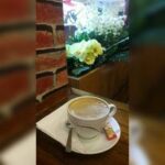 Cafe Biyer Balıkesir