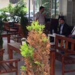 Divane Derviş Cafe