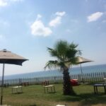 DREAMERPARK