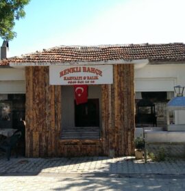 Renkli Bahçe