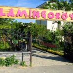 Flamingo Köy