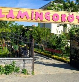 Flamingo Köy