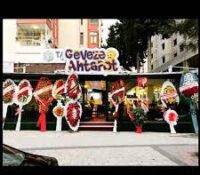 Geveze Ahtapot Nargile Cafe